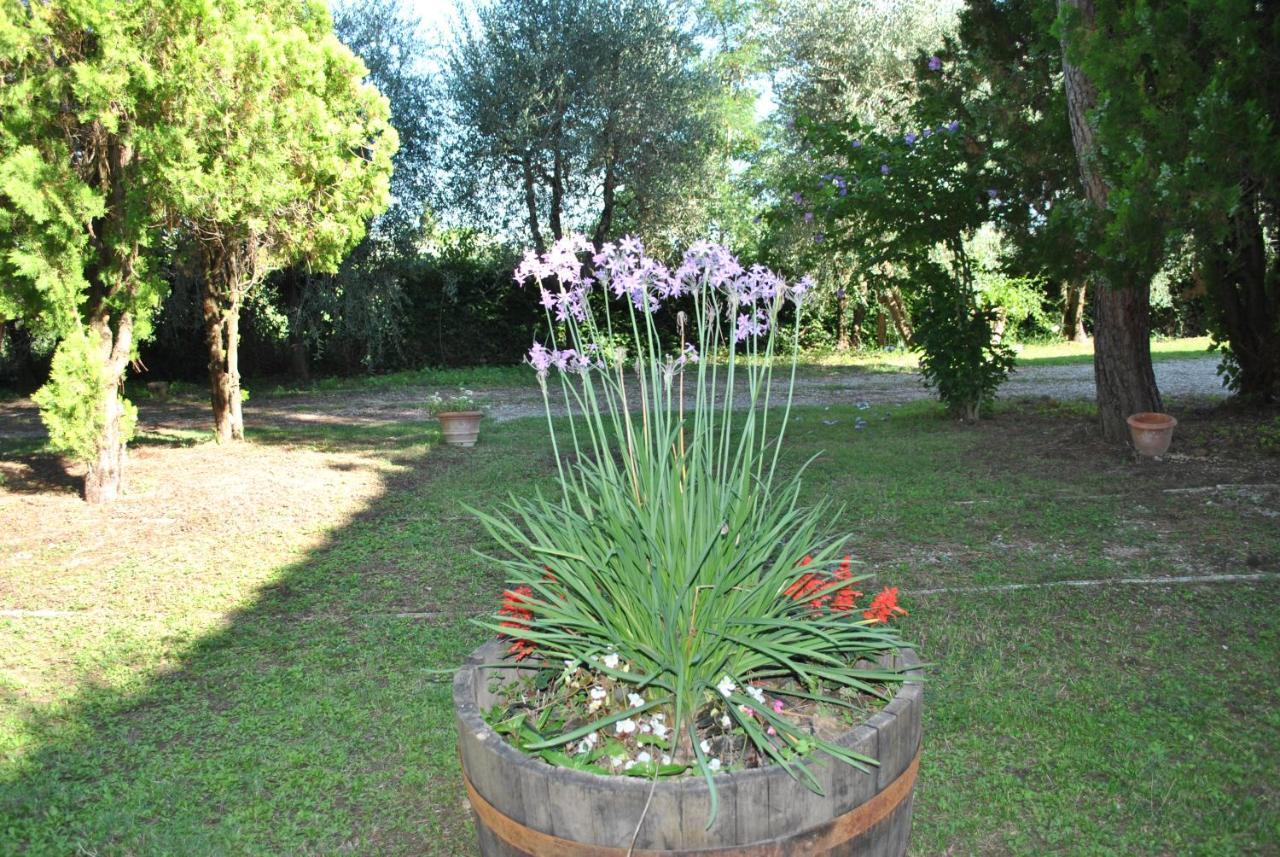 Agriturismo La Nicchia 카스텔누오보베라덴가 외부 사진